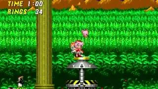 Sonic the Hedgehog 2: Pink Edition (Genesis) - Longplay