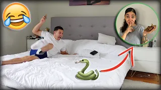 FAKE SNAKE PRANK ON BOYFRIEND!! *HILARIOUS*