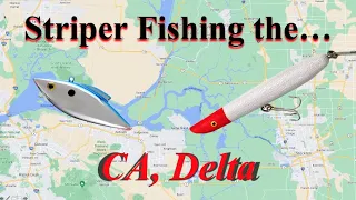 ALL We know about STRIPERS on the CA, DELTA (Techniques, movement, LOCATIONS)