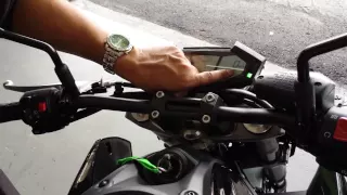 Z800 Tigre Branco Instrução de uso kawasaki