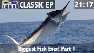 The biggest fish ever - Part 1