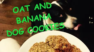 4 Ingredient Wheat Free Dog Treat Recipe-Oat and Banana dog cookies