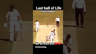 Last ball😔 we all miss you Phillip Hughes ❤️💔 #actorsvlog #ytshorts #short