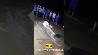 viral putri duyung terdampar di China