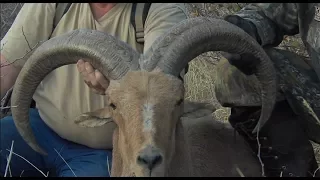 Winchester Legends S5E8 West Texas Aoudad