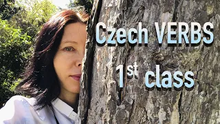 Czech verbs #1 - 1st class (nést - brát - mazat - péct - umřít)