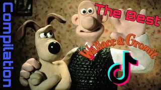 The Best Wallace and Gromit TikToks | Compilation