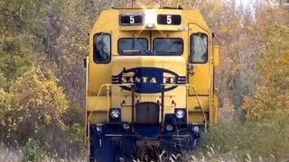 Locomotive Emerges from the Woods