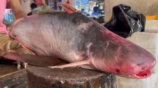 Amazing Giant Pangas Fish Cutting Skills Live In Fish Market | Fish Cutting Skills