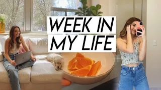 WEEK IN MY LIFE | happy week, trader joe’s haul, future house buying plans, & baking cinnamon rolls!