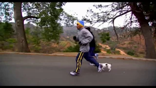 Training of Great Boxers (Тренировка Великих Боксеров)