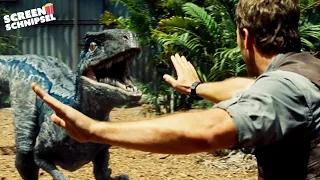 Blues und Owens Geschichte | Jurassic World | Screen Schnipsel