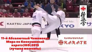 11-й Абсолютный Чемпионат Мира по Карате Киокушинкай.THE 11th WORLD OPEN KARATE CHAMPIONSHIP 2015.