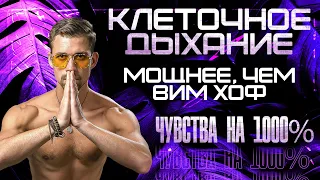 Дыхательная Практика Мощнее чем Вим Хоф. Практика Клеточное Дыхание Никита Метелица.