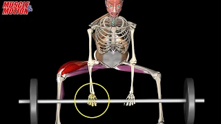 How to Sumo Deadlift Correctly - Avoid Common Mistakes | 3D Anatomical Analysis
