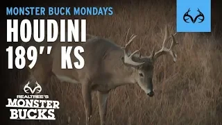 David Blanton's LARGEST Buck! HOUDINI |189" KS Monster |Monster Bucks Monday