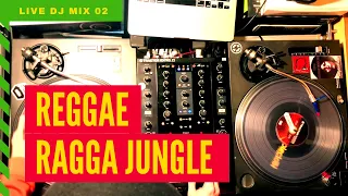 Reggae, Dancehall, Ragga Jungle Live DJ Mix | Whatafunk Session #2