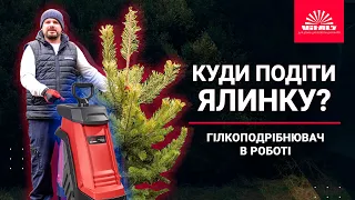 ПОДРІБНИТЬ ВСЕ 🌲 Навіть ЯЛИНКУ? ✔️ Гілкоподрібнювач| Vitals | КУДИ ПОДІТИ ЯЛИНКУ?