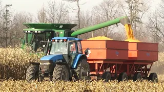 Corn Harvest 2020 | John Deere 9500 and 9600 Combines Harvesting Corn | Ontario, Canada