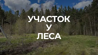 Участок у леса в деревне Новосиверская