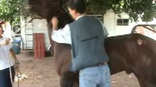 Tratamento com acupuntura na disfunção musculoesquelética.