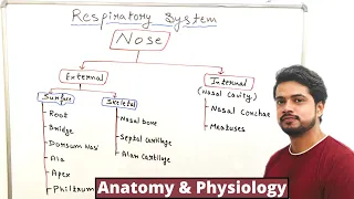 Nose | Nasal Cavity | Anatomy and physiology | Nasal Conchae | Functions |  Hindi