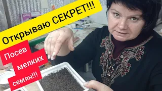 Мои  ПОСЕВНЫЕ СЕКРЕТЫ!!!