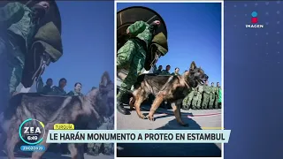 Perrito "Proteo" tendrá un monumento en Estambul, Turquía | Noticias con Francisco Zea