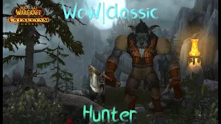 WoW|Classic|Hunter|ep 6