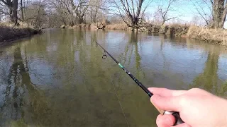 CREEK Fishing for BIG Wild Brown TROUT