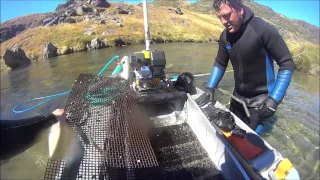 Gold dredging New Zealand 4" testing