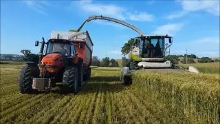 claas jaguar 970+ direct disc 520 +same rubin 180+zaccaria+lamborghini racing 165