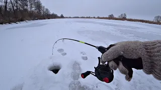 ДВА ДНЯ ПРИЕЗЖАЛ К РЫБНЫМ ЛУНКАМ! Щедрый лёд на реке! Ловля щуки на балансир.