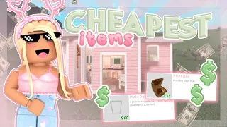 Building a House With ONLY the CHEAPEST ITEMS! 💵❌ | seqshell