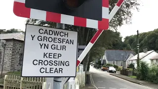 Llandre Level Crossing (Ceredigion) Tuesday 13.08.2019