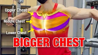 5 Best Exercises to Build A BIGGER Chest (TARGET EVERY MUSCLE!)