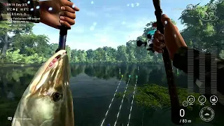 Fishing Planet - Saint Croix - Clear Muskie Unique