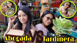 AHORRA DINERO Y PLANTA SUCULENTAS EN MACETAS ROTAS FT. Michelle Hernández 🌱| Jardines by Angie