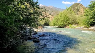 Picnic and BBQ at my secret hideaway in the San Gabriel Mountains