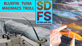 Nomad Madmacs Bluefin Tuna Fishing | Ensenada Mexico Northern Baja California Spring 2023 SDFS