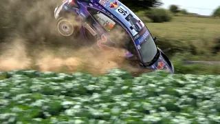 WRC Ypres Rally 2022 | Best of |  Big Crash Fourmaux