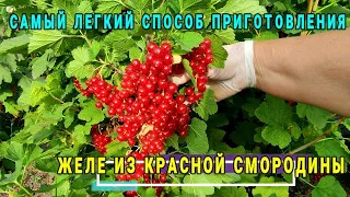 👍👩🏻‍🌾КАК ПРИГОТОВИТЬ ЖЕЛЕ ИЗ КРАСНОЙ СМОРОДИНЫ С ПОМОЩЬЮ СОКОВАРКИ. ЛУЧШИЙ РЕЦЕПТ!