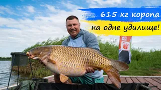 615 кг коропа на ОДНЕ вудилище! Турнір Carp Pro One 2021