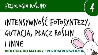 Intensywność fotosyntezy, gutacja, płacz roślin i inne - Fizjologia roślin 4 - matura z biologii