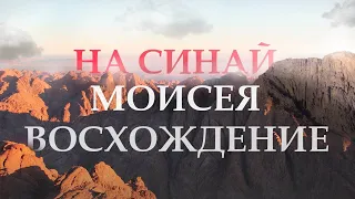 СКОЛЬКО РАЗ МОИСЕЙ ВОСХОДИЛ НА ГОРУ БОЖИЮ? | Игаль Бен-Нун