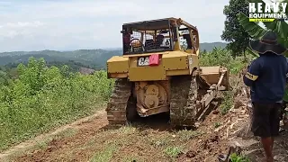 Stunning Caterpillar D6R XL Bulldozer Widens Plantation Road