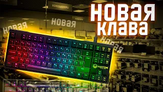 Обзор на клавиатуру Hator Rockfall EVO TKL! Бюджетная механика!