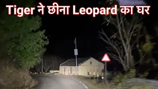 Night Drive Jim Corbett National Park | Jim Corbett Tiger Territory | Leopard on Road #tiger