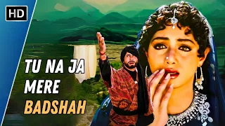 Tu Na Ja Mere Badshah | Khuda Gawah (1992) | Amitabh Bachchan | Sridevi | Sad Hindi Songs