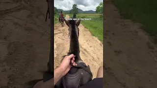 Riding a horse in Nigeria